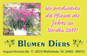 Logo Blumen Diers